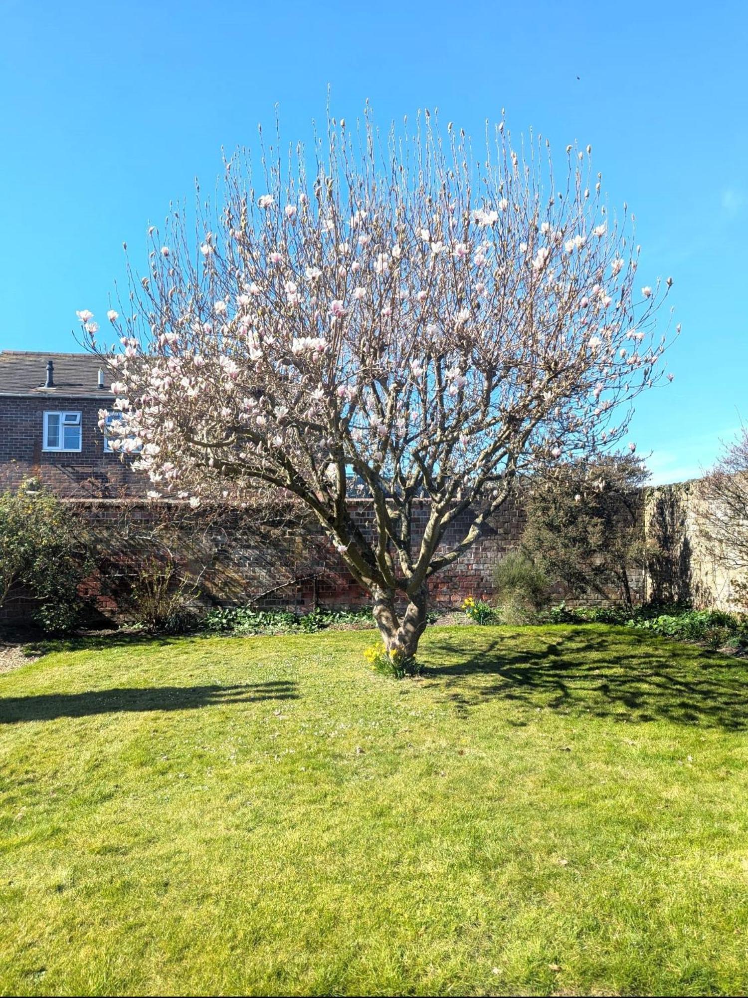 Georgian 2 Bedroom Apartment In Chichester With Free Parking - Chichester Holiday Properties Buitenkant foto