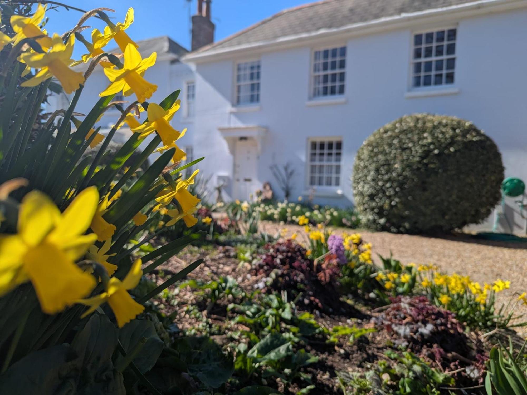 Georgian 2 Bedroom Apartment In Chichester With Free Parking - Chichester Holiday Properties Buitenkant foto