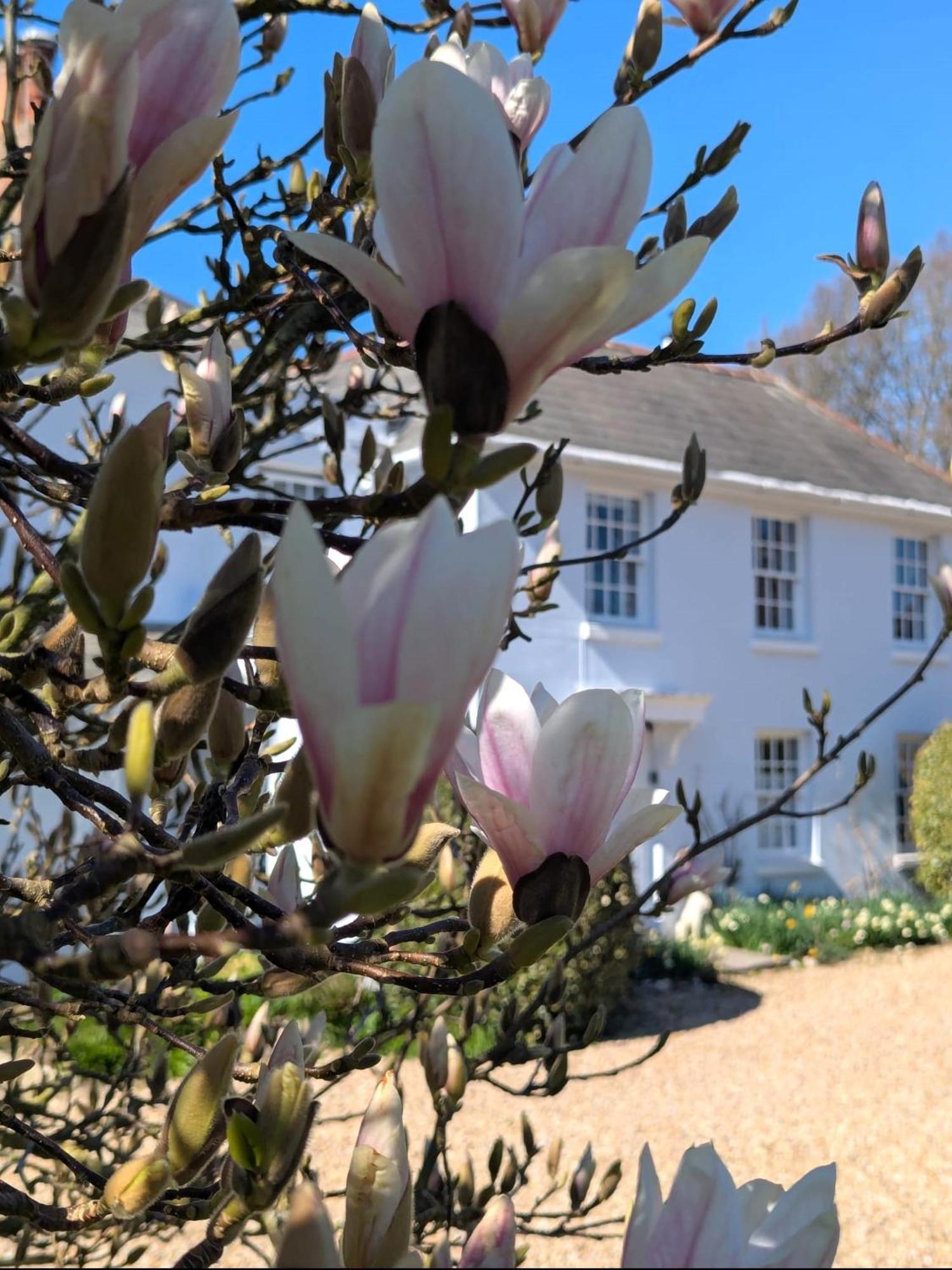 Georgian 2 Bedroom Apartment In Chichester With Free Parking - Chichester Holiday Properties Buitenkant foto